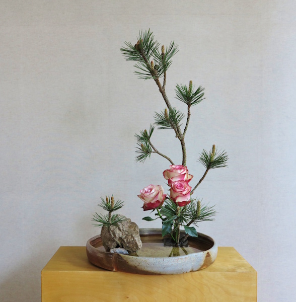 Gedanken unter der alten Kiefer